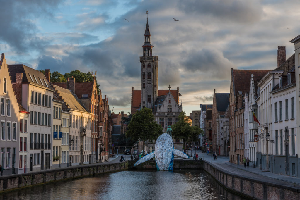 Brugge, bruges, sunset, square, medieval, city, whale, plastic, pollution, ocean, landscape, top, place, visit